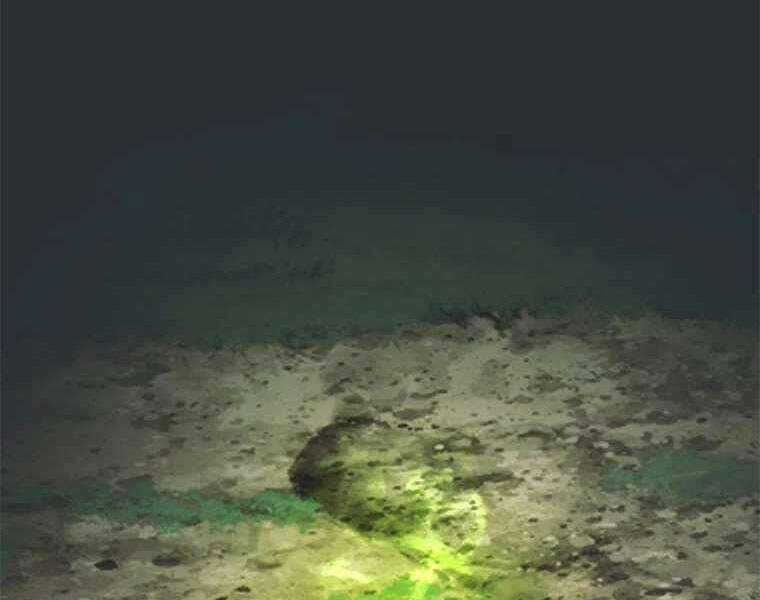 Vua Thăng Cấp - Chương 105 - Trang 4