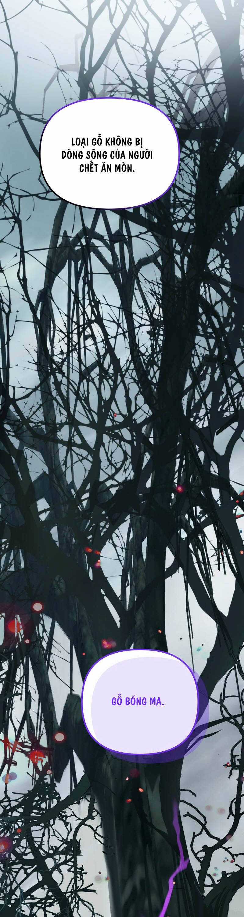 Vua Thăng Cấp - Chương 172 - Trang 33