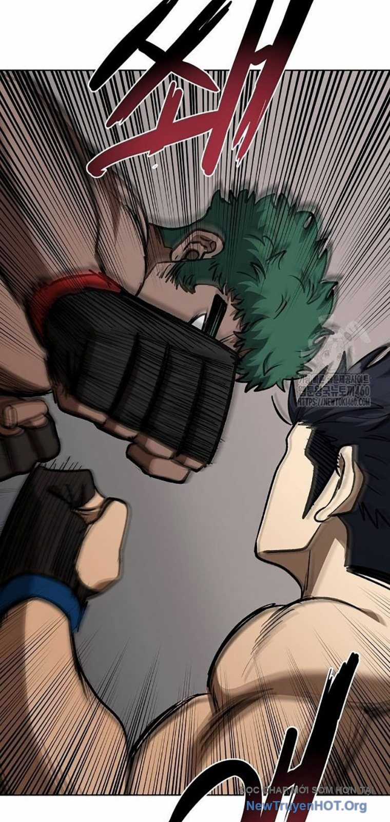 Vua Võ Đài - Chapter 133 - Trang 17