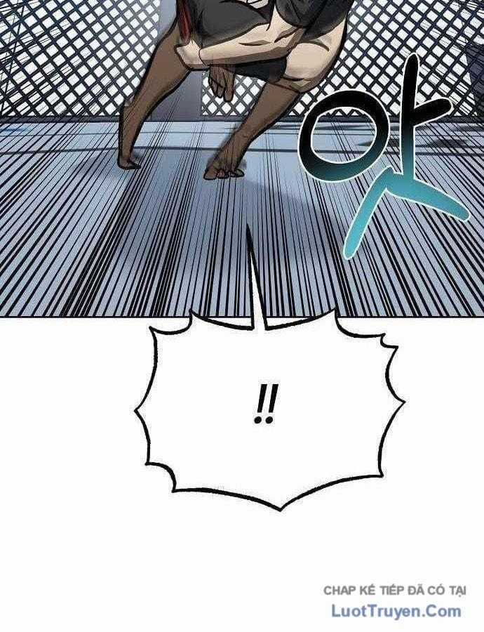 Vua Võ Đài - Chapter 174 - Trang 18