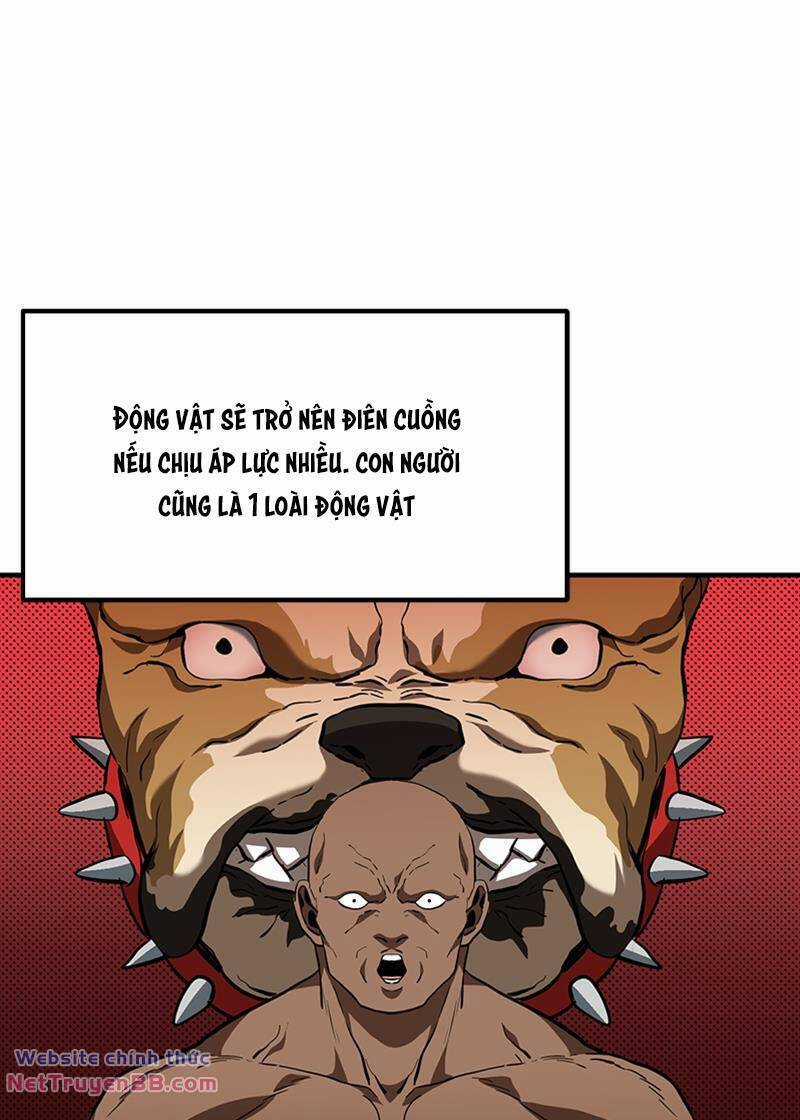 Vua Võ Đài - Chapter 41 - Trang 12