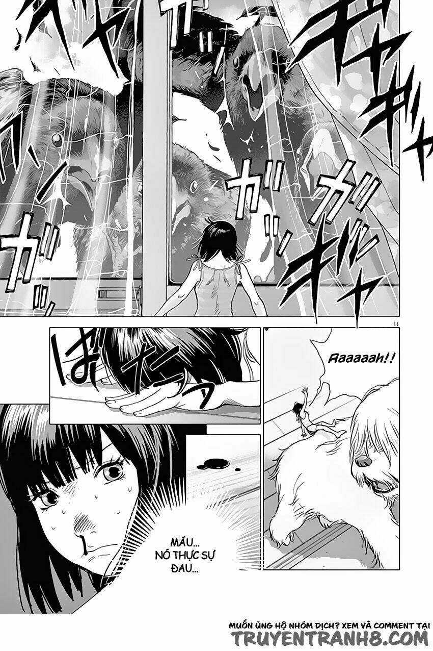 Vùng Đất Kì Diệu - Chapter 1 - Trang 13