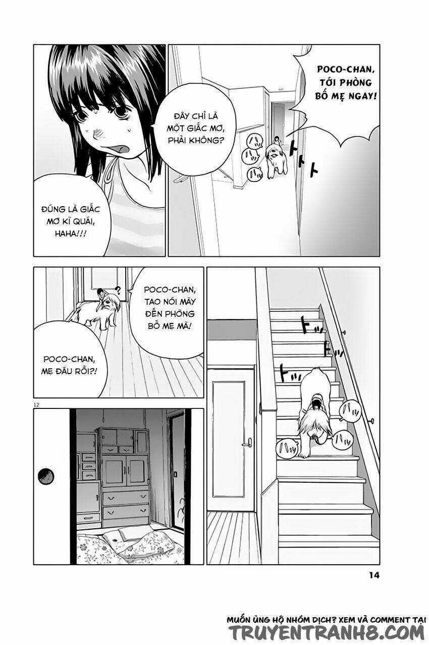 Vùng Đất Kì Diệu - Chapter 1 - Trang 14