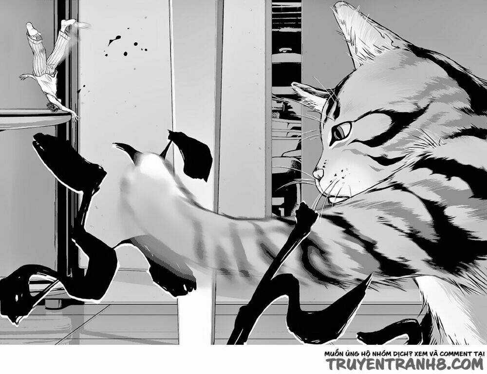 Vùng Đất Kì Diệu - Chapter 1 - Trang 18