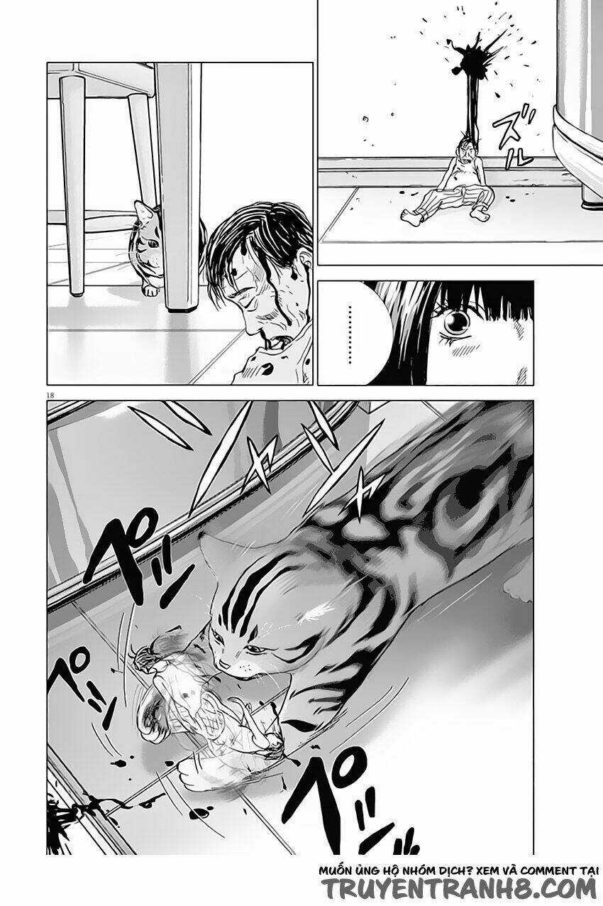 Vùng Đất Kì Diệu - Chapter 1 - Trang 19