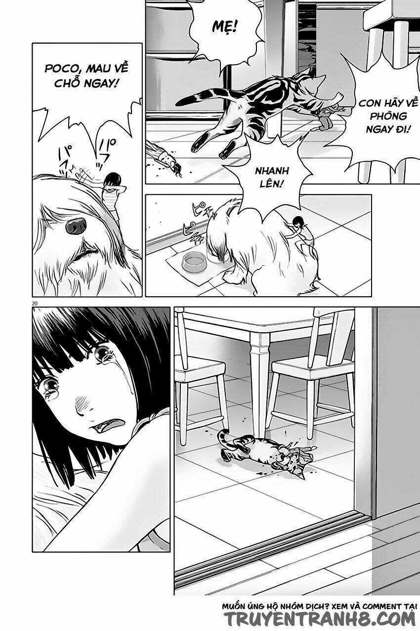 Vùng Đất Kì Diệu - Chapter 1 - Trang 21