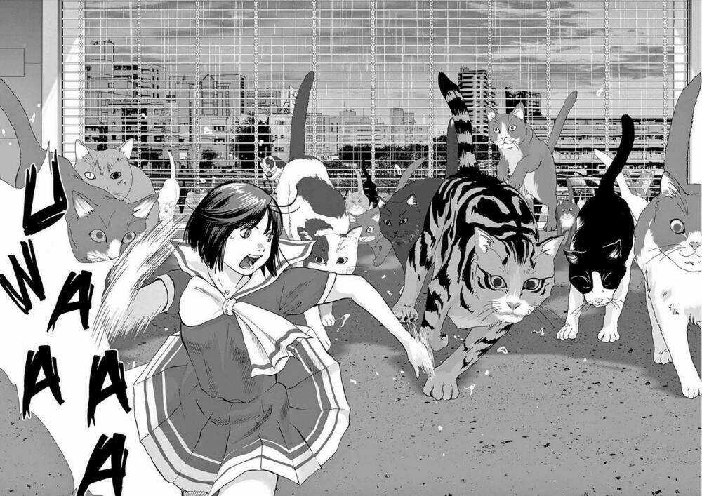 Vùng Đất Kì Diệu - Chapter 10 - Trang 11