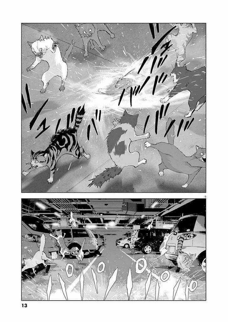 Vùng Đất Kì Diệu - Chapter 10 - Trang 17