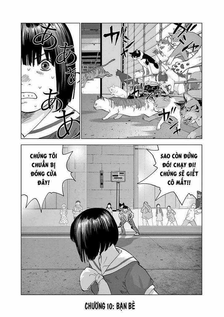 Vùng Đất Kì Diệu - Chapter 10 - Trang 10