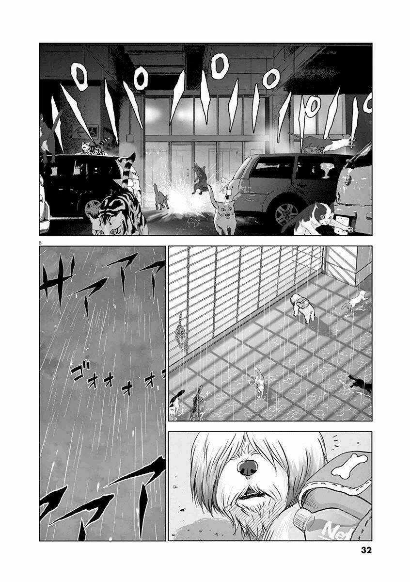 Vùng Đất Kì Diệu - Chapter 11 - Trang 14