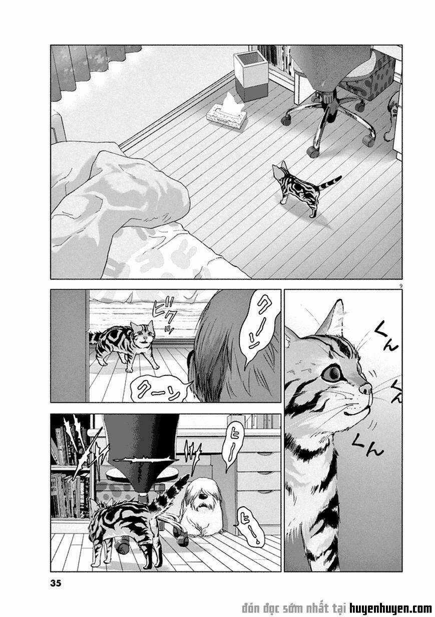 Vùng Đất Kì Diệu - Chapter 2 - Trang 9