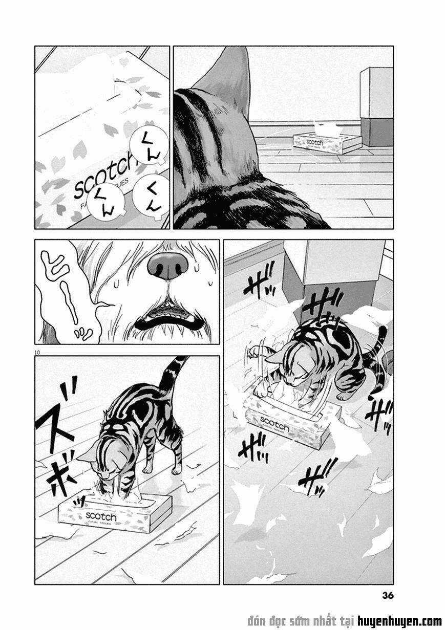 Vùng Đất Kì Diệu - Chapter 2 - Trang 10