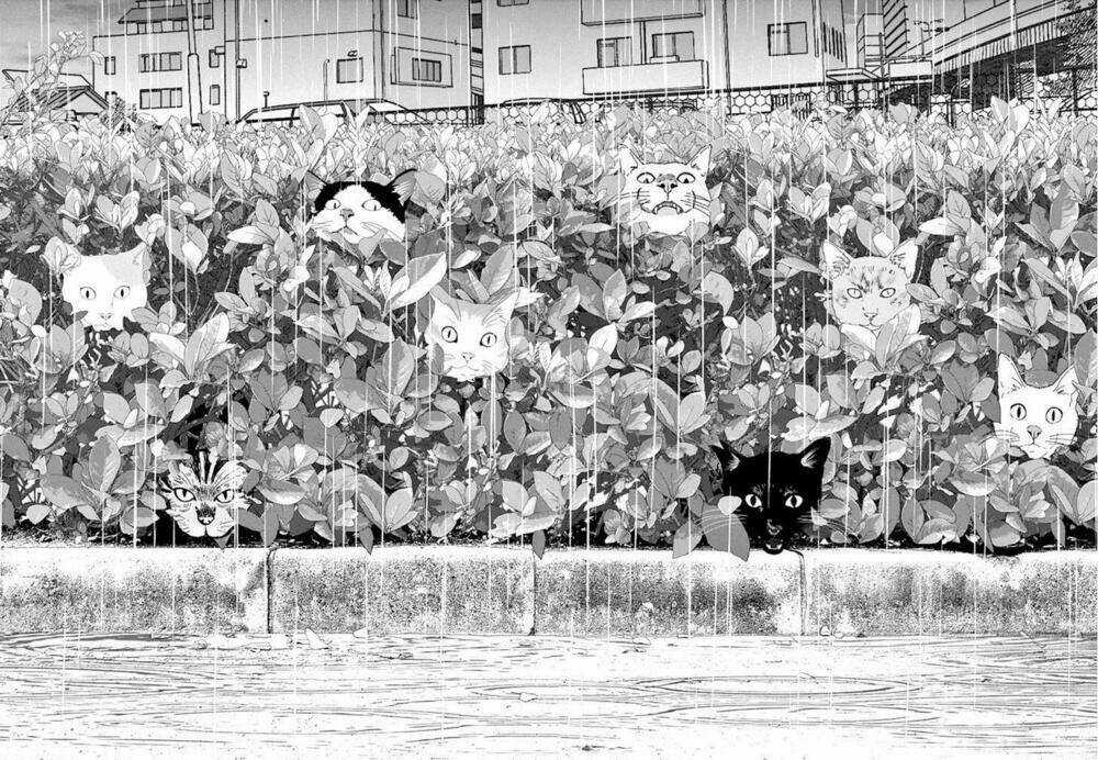 Vùng Đất Kì Diệu - Chapter 9 - Trang 18