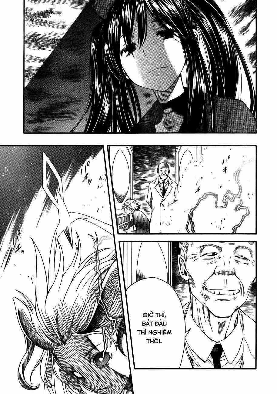 Vùng Đất Ma Pháp - Chapter 61 - Trang 31