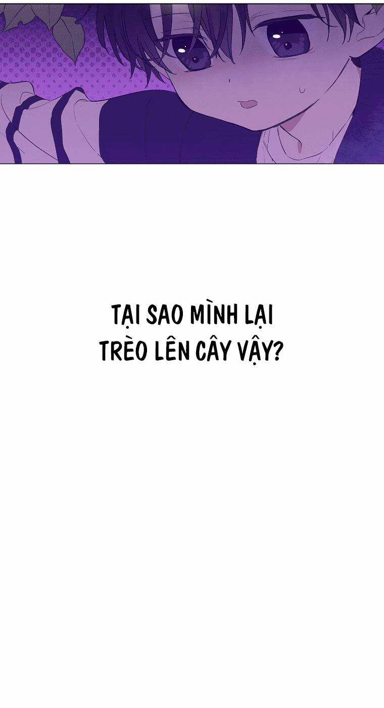 Vùng Đất Rộng Lớn - Chapter 4 - Trang 3