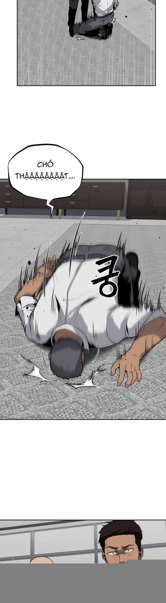 Vương Đạo - Chương 13 - Trang 15