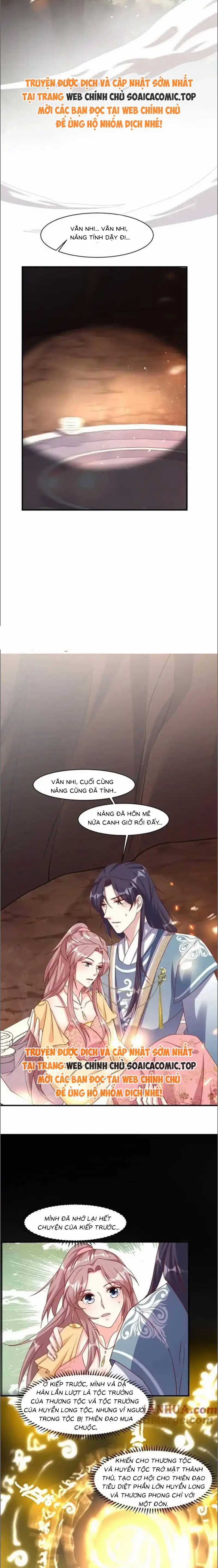 Vương Gia Khắc Thê - Chapter 253 - Trang 4