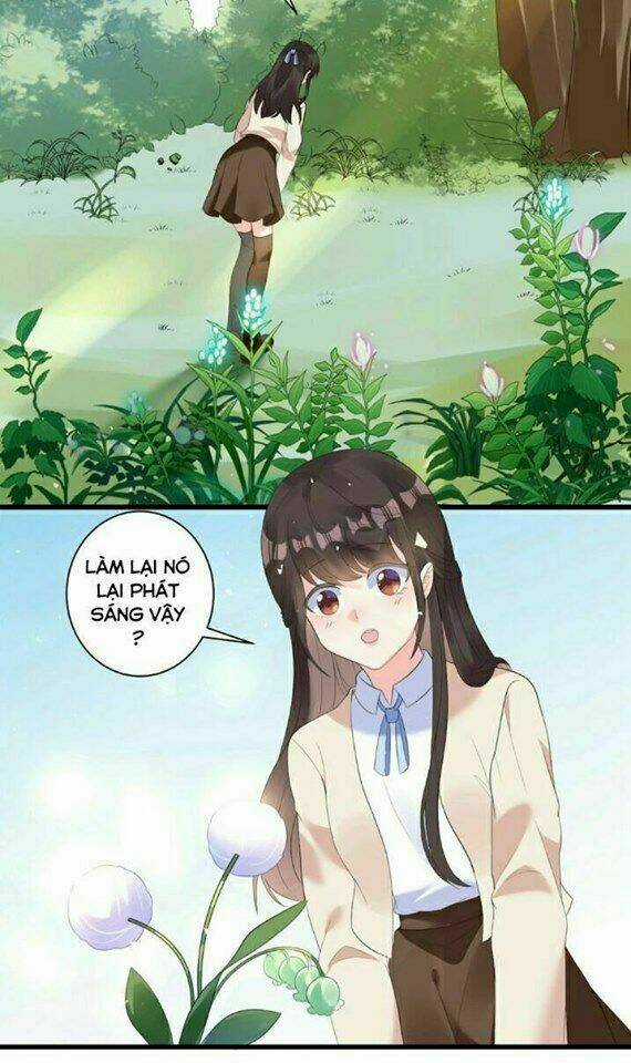 Vương Phi Có Độc! - Chapter 1 - Trang 3