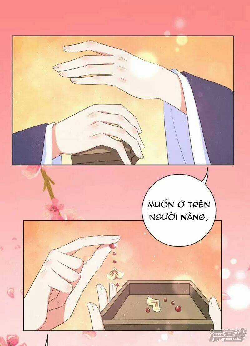 Vương Phi Có Độc! - Chapter 48 - Trang 23