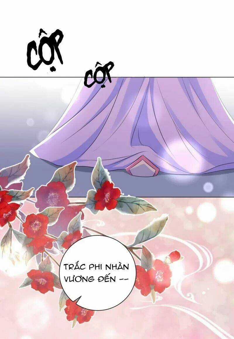 Vương Phi Có Độc! - Chapter 52 - Trang 26