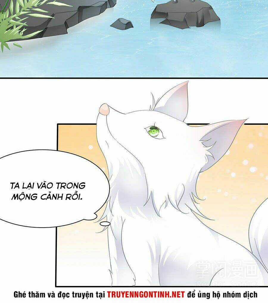 Vương Phi Lại Hạ Độc Rồi - Chapter 11 - Trang 20