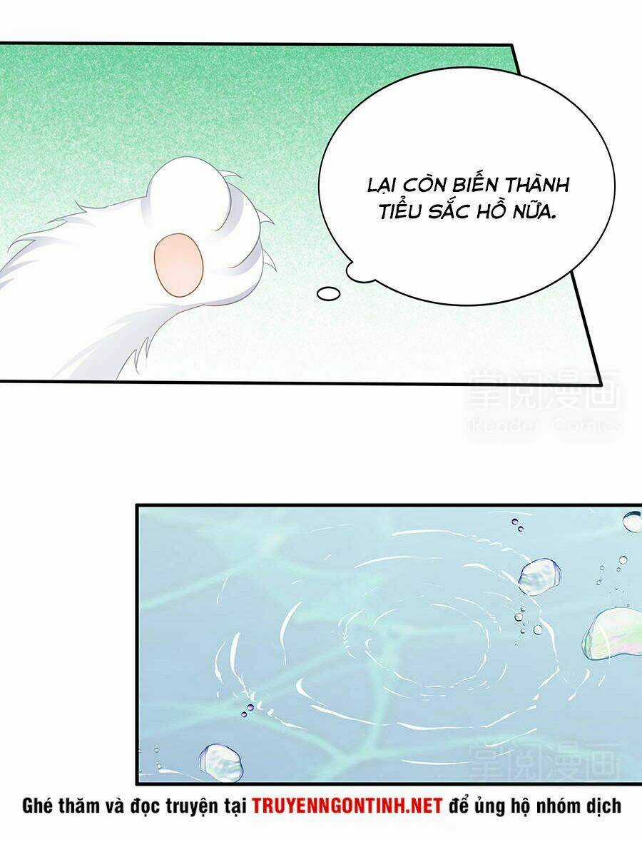 Vương Phi Lại Hạ Độc Rồi - Chapter 11 - Trang 21