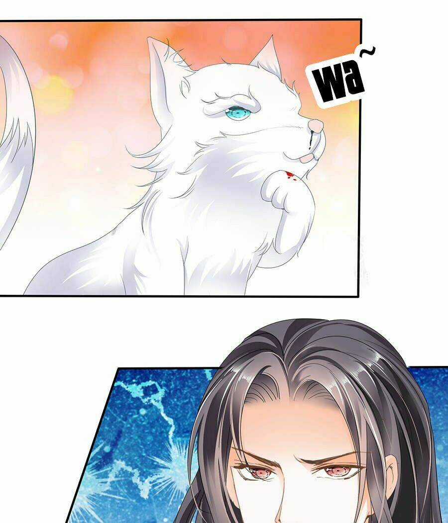 Vương Phi Lại Hạ Độc Rồi - Chapter 11 - Trang 24