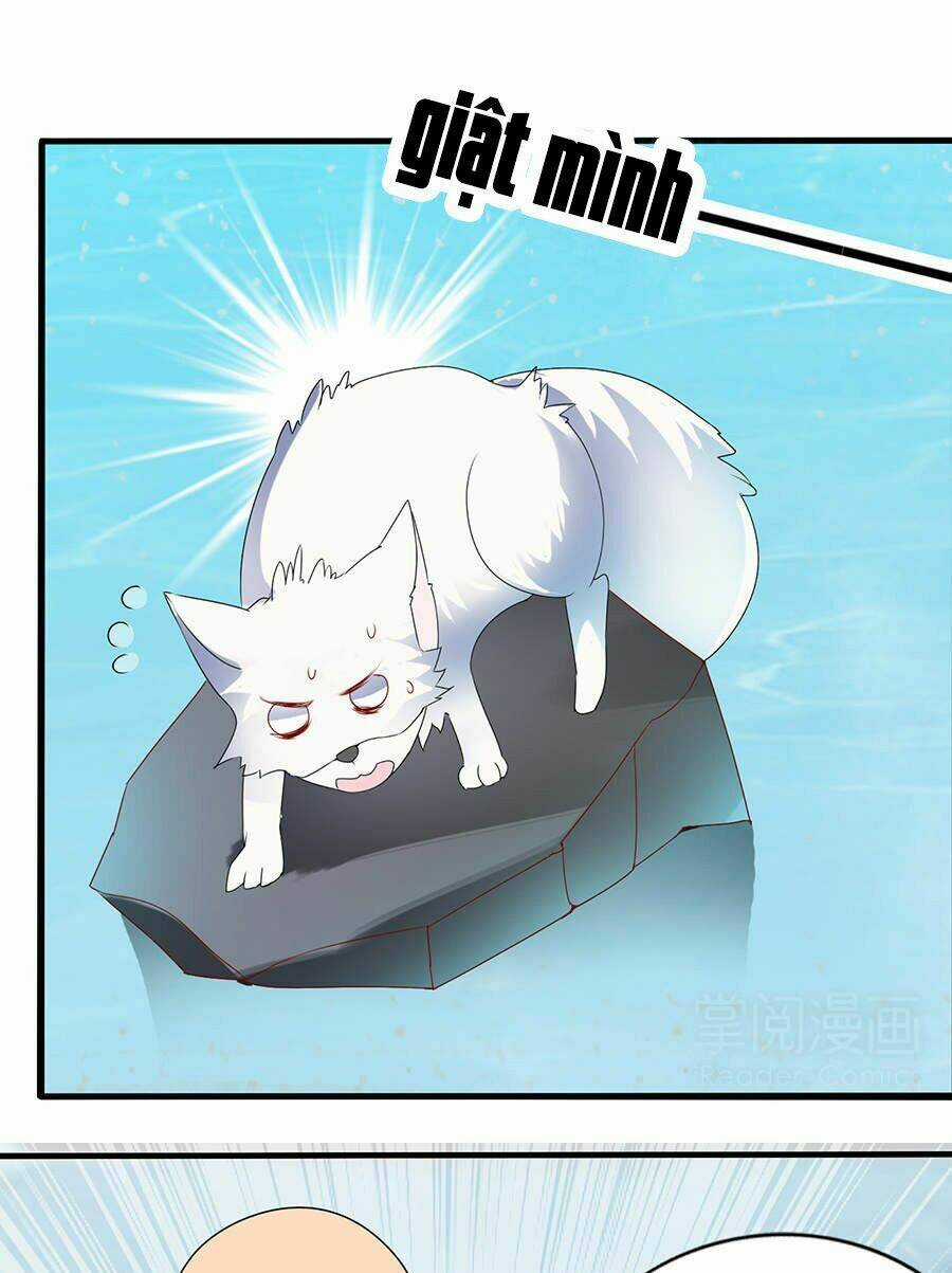 Vương Phi Lại Hạ Độc Rồi - Chapter 11 - Trang 26