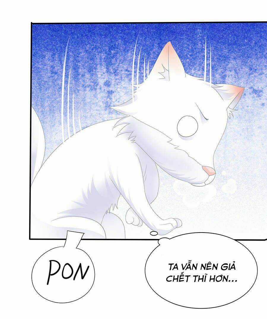 Vương Phi Lại Hạ Độc Rồi - Chapter 11 - Trang 28