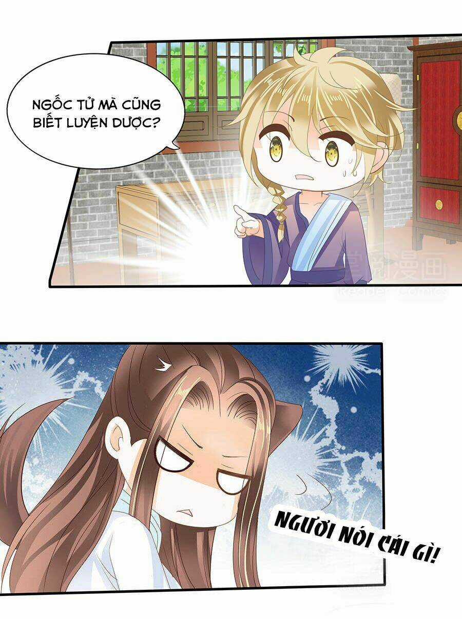 Vương Phi Lại Hạ Độc Rồi - Chapter 13 - Trang 13