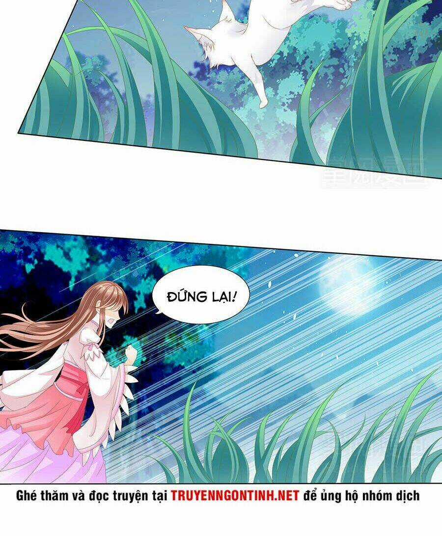 Vương Phi Lại Hạ Độc Rồi - Chapter 7 - Trang 20