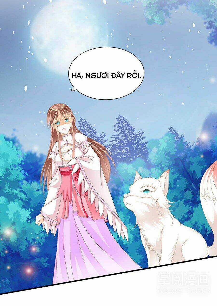 Vương Phi Lại Hạ Độc Rồi - Chapter 7 - Trang 22