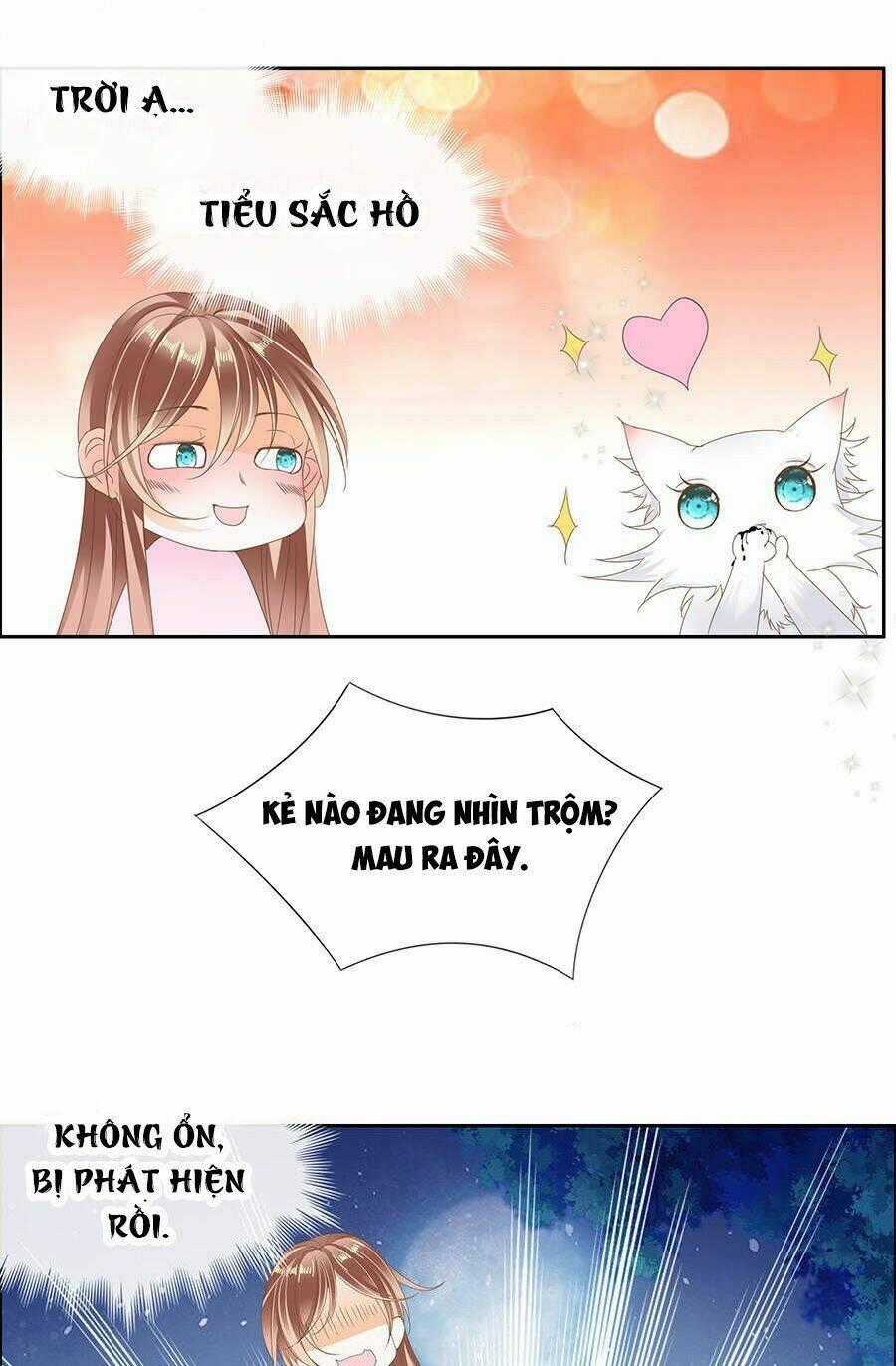 Vương Phi Lại Hạ Độc Rồi - Chapter 7 - Trang 28