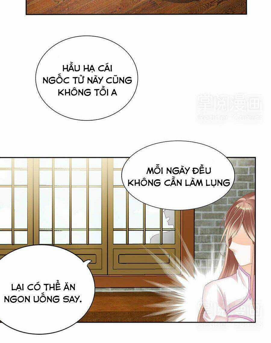 Vương Phi Lại Hạ Độc Rồi - Chapter 8 - Trang 11