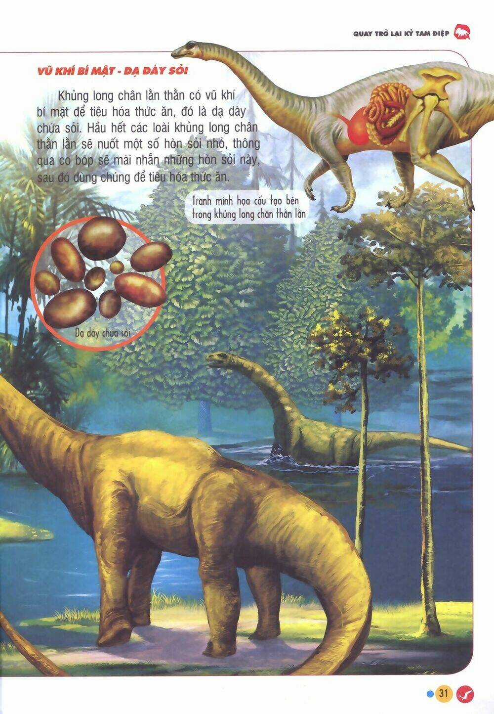 Vương Quốc Khủng Long - Chapter 2 - Trang 11