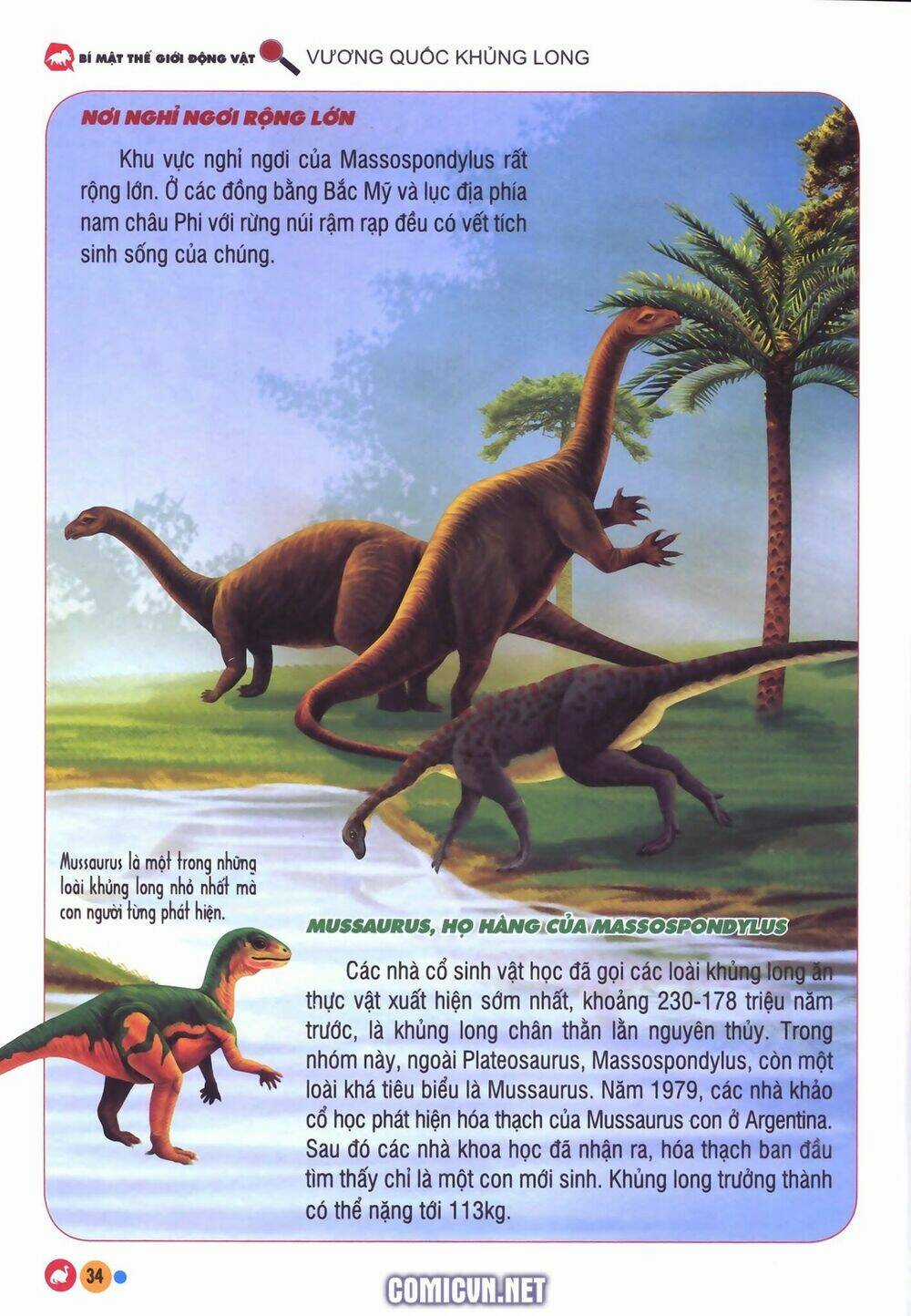 Vương Quốc Khủng Long - Chapter 2 - Trang 14