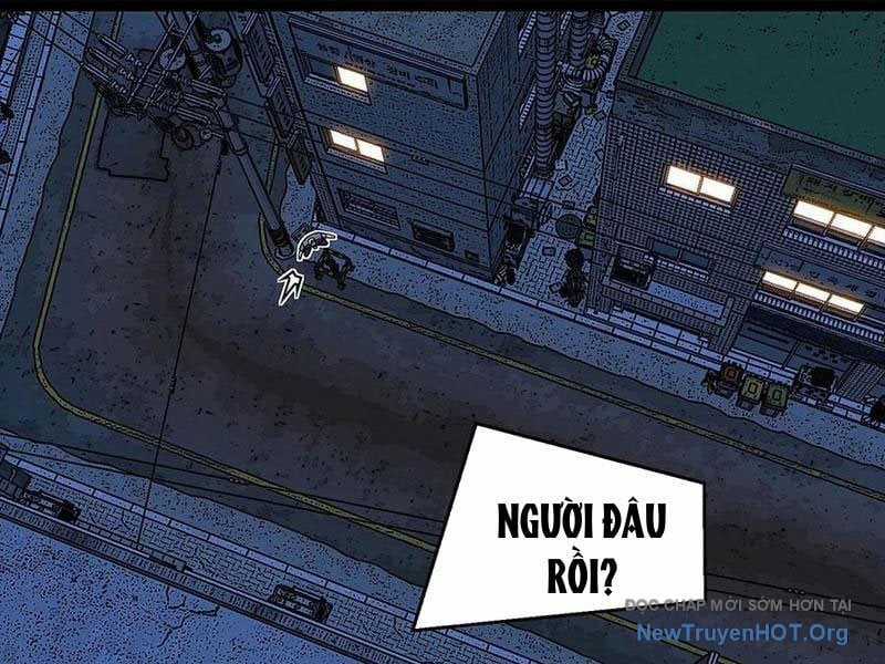 Vương Tạc - Chapter 17 - Trang 66