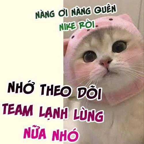 Vưu Vật - Chương 128 - Trang 23