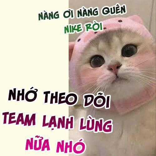 Vưu Vật - Chương 130 - Trang 22