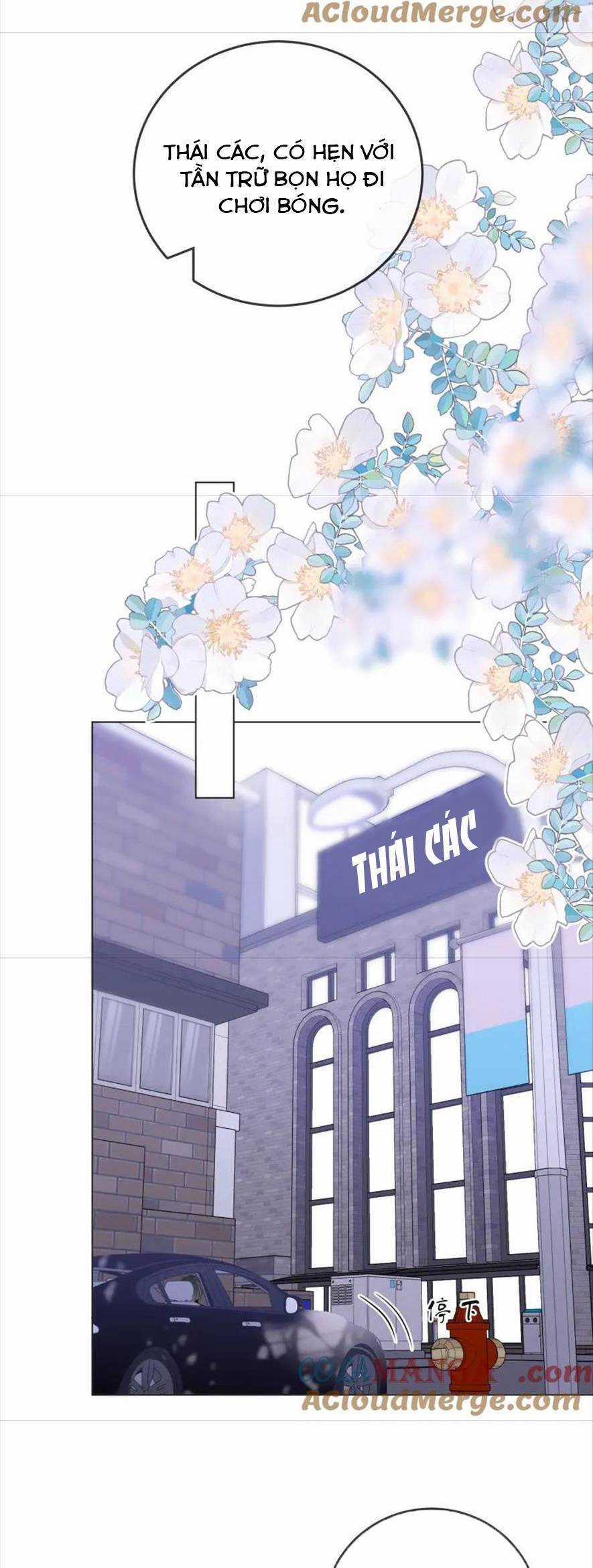 Vưu Vật - Chương 61 - Trang 15