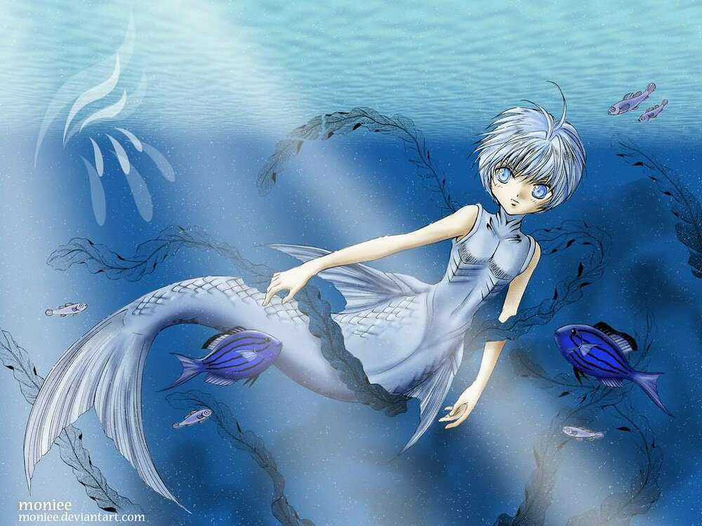 Wallpaper - Chapter 11 - Trang 25