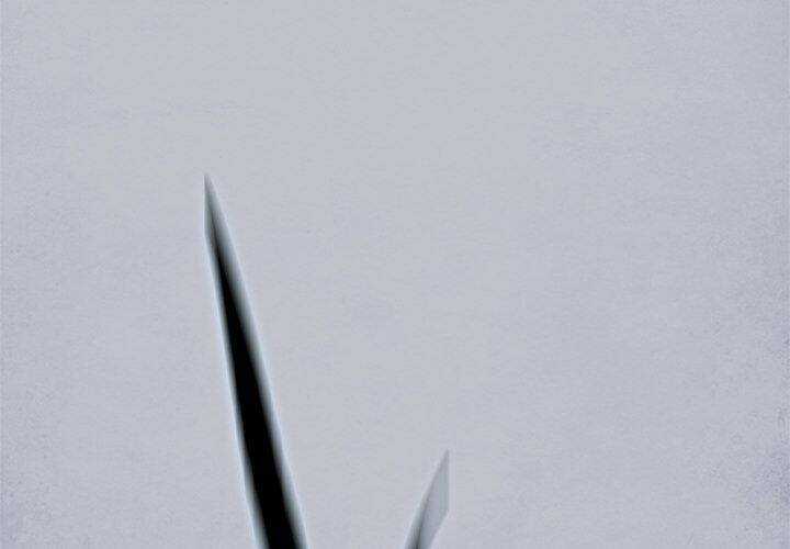 Warble - Chapter 111 - Trang 3