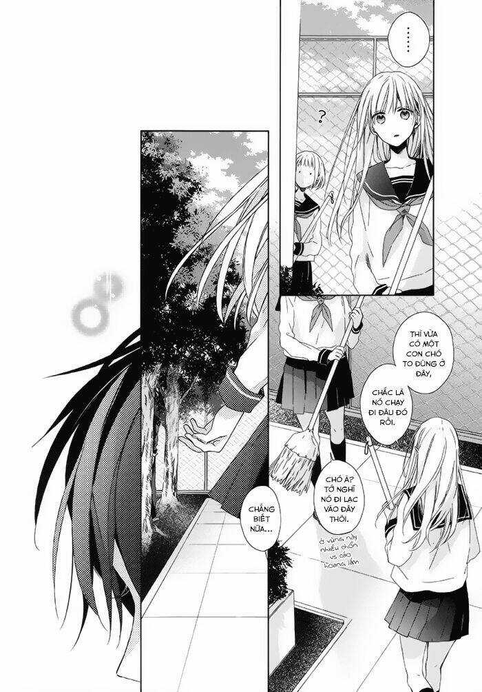 Watashi no Ookami-kun - Chapter 15 - Trang 11