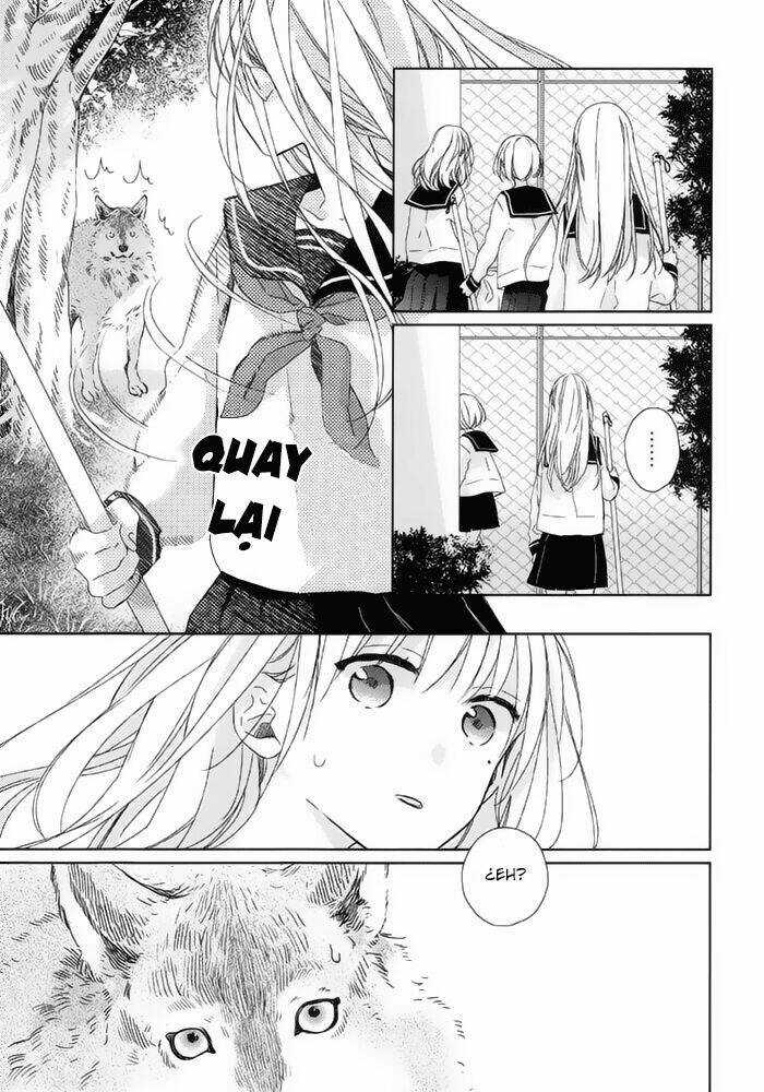 Watashi no Ookami-kun - Chapter 15 - Trang 8