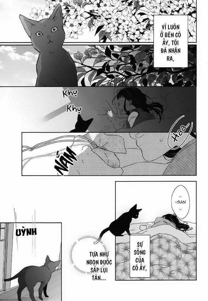 Watashi no Ookami-kun - Chapter 18 - Trang 13
