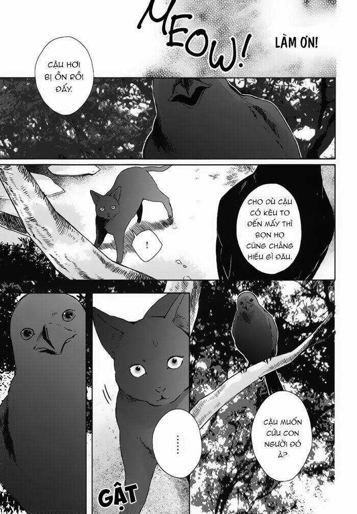 Watashi no Ookami-kun - Chapter 18 - Trang 15