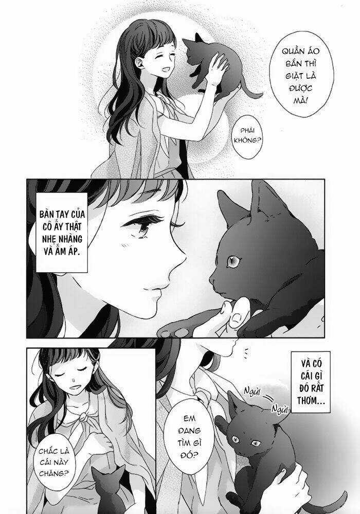 Watashi no Ookami-kun - Chapter 18 - Trang 8