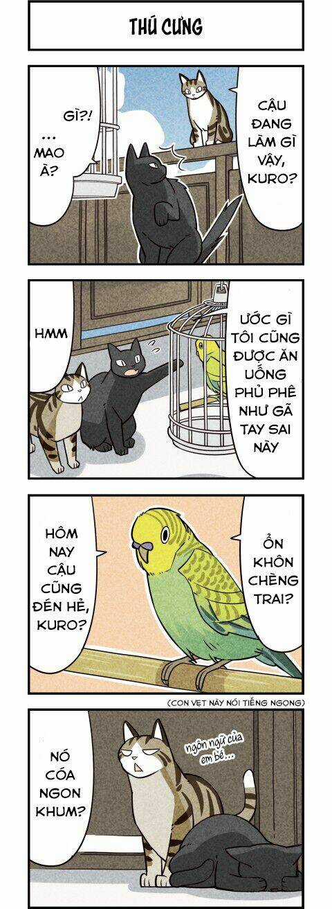 We Are Cat - Chapter 10 - Trang 3