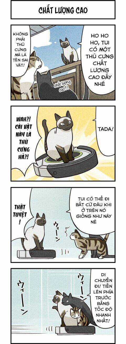 We Are Cat - Chapter 10 - Trang 4