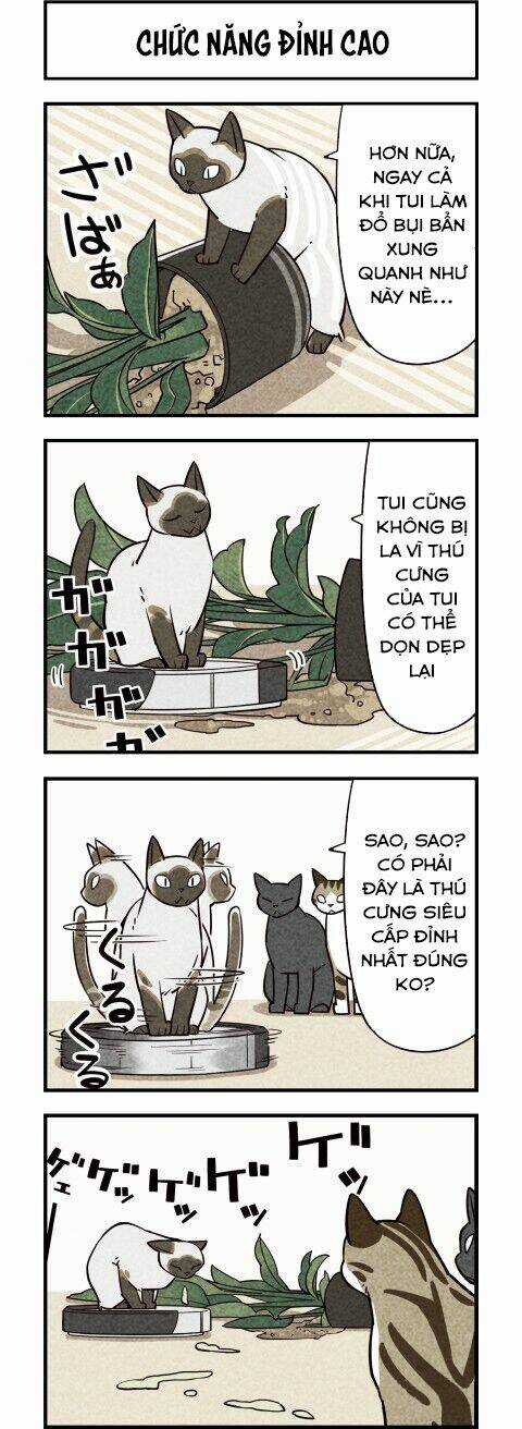 We Are Cat - Chapter 10 - Trang 5